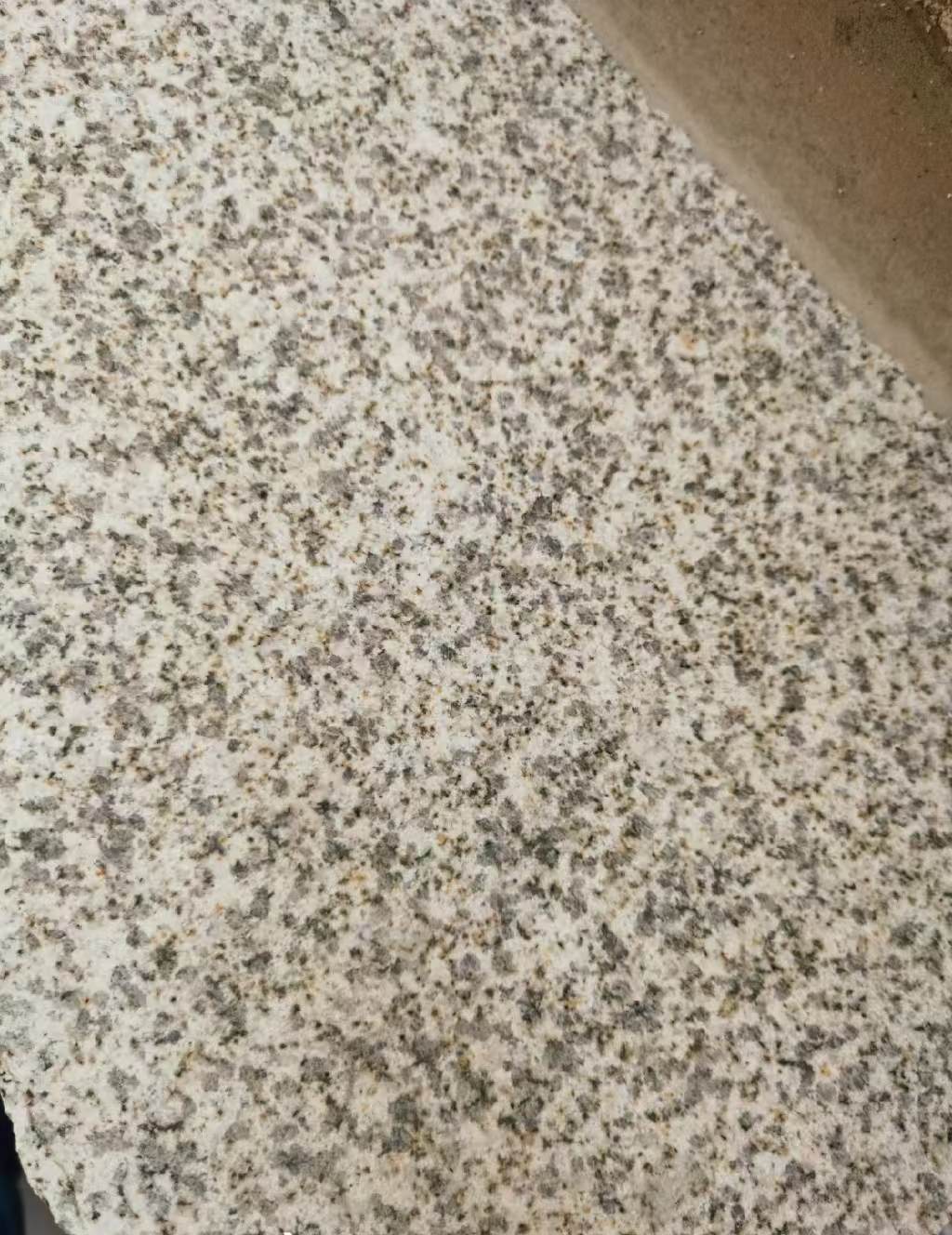 合肥 黄金麻中黄光面