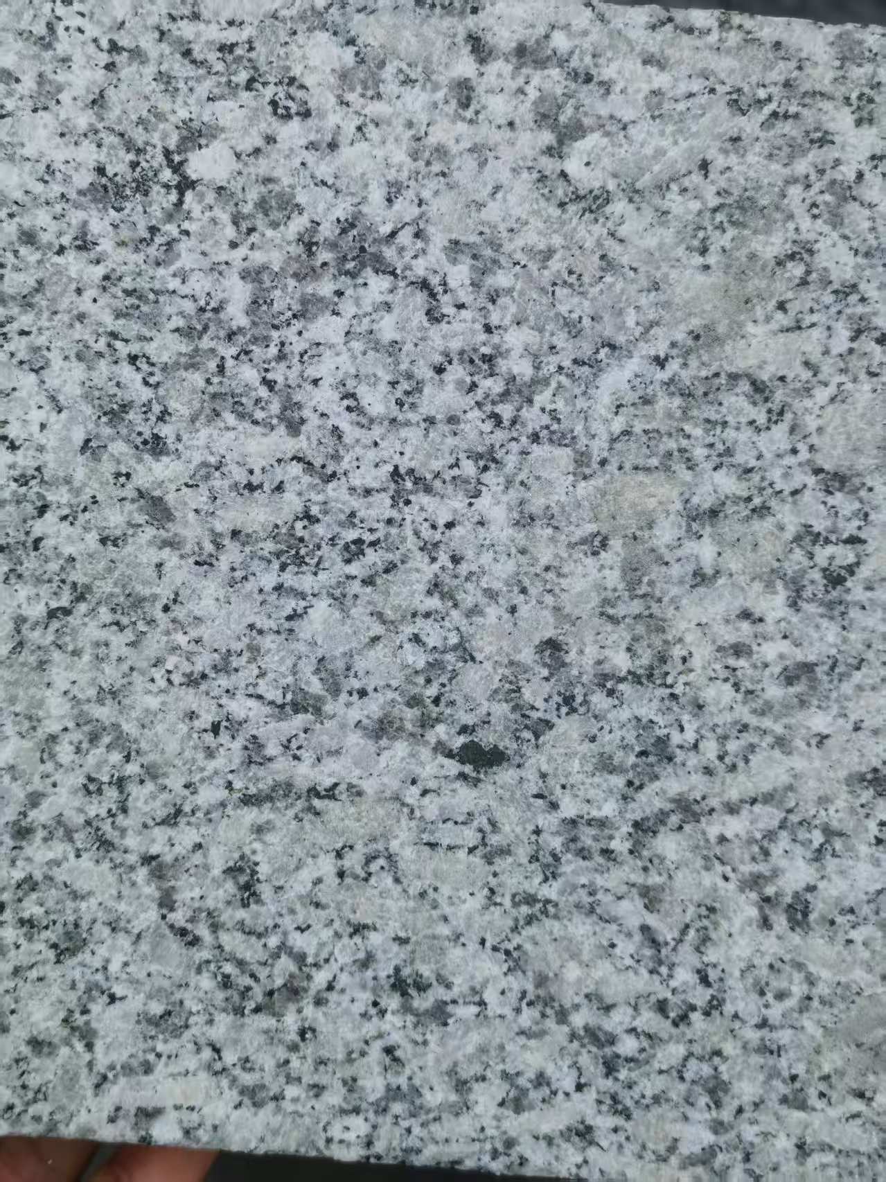 合肥 芙蓉白火烧面